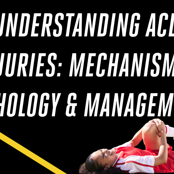 Understanding ACL Injuries: Mechanisms, Pathology, and Management Strategies