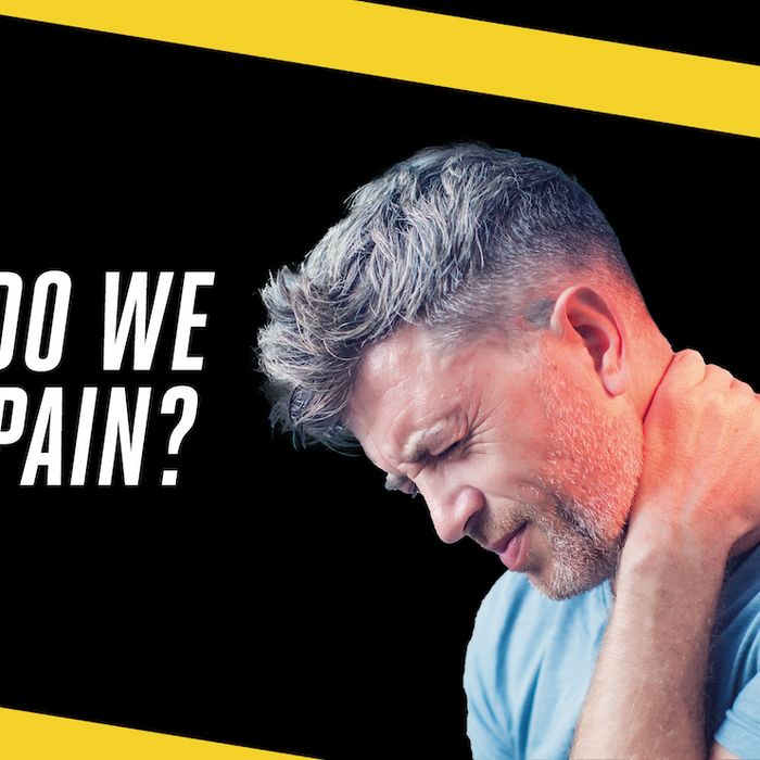 Why Do We Feel Pain?