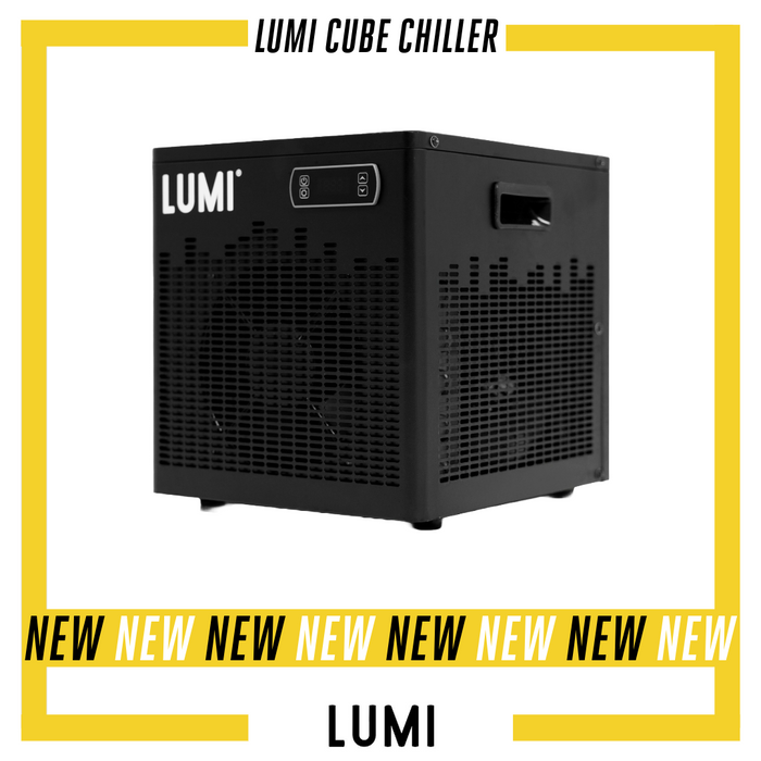 Lumi Cube Chiller